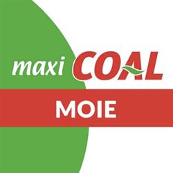Coal Il Market, Maiolati Spontini orari di apertura