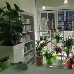 L'Angolo del Fiore, Mestre orari di apertura