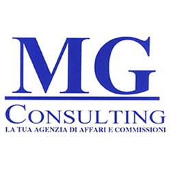 Mg Consulting Srl - Agenzia Affari e Commissioni, Napoli orari di apertura