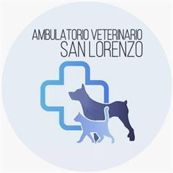 Ambulatorio Veterinario San Lorenzo, Corciano orari di apertura