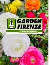 Milano Piante, Firenze orari di apertura