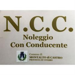 Tuscia Driver Service, Montalto di Castro orari di apertura