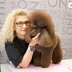 Armony Pet beauty & spa Torino, San Salvario - Orari di apertura