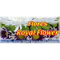 Flores e Royal Flower, Lentini orari di apertura