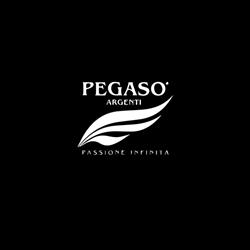 Pegaso Argenti, Conegliano orari di apertura