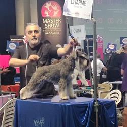 Toelettatura Andrea Pet Grooming, Viterbo orari di apertura