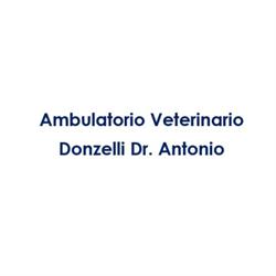 Ambulatorio Veterinario Donzelli Dr. Antonio, Casalmaggiore orari di apertura