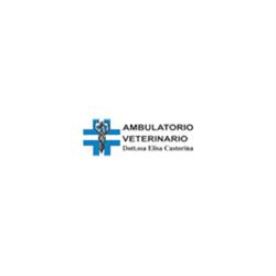 Ambulatorio Veterinario Castorina, Tremestieri Etneo orari di apertura