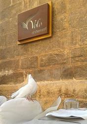 VOLO RESTAURANT, Lecce orari di apertura