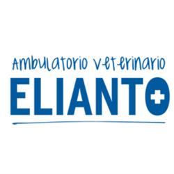 Ambulatorio Veterinario Elianto, Cusano Milanino orari di apertura