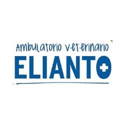 Ambulatorio Veterinario Elianto, Cusano Milanino orari di apertura