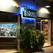 The Shark Acquari, Castellammare di Stabia orari di apertura
