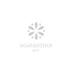 Agapanthus Gioielli, Lecco orari di apertura