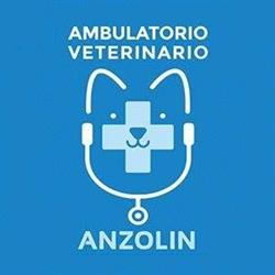 Ambulatorio Veterinario Dott.ssa Anzolin, San Bonifacio orari di apertura