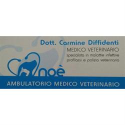 Veterinario Carmine Dr. Diffidenti, Telese Terme orari di apertura