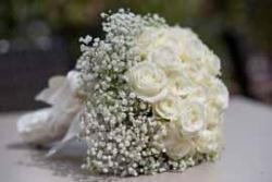 Badoino Veronica wedding & event planner, Milano orari di apertura