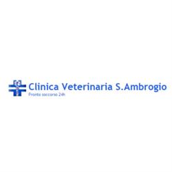 Clinica Veterinaria S. Ambrogio, Romentino orari di apertura