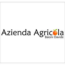 Azienda Agricola Baioni Davide, Cassano d'Adda orari di apertura