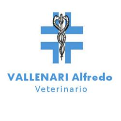 Alfredo Dr. Vallenari Medico Veterinario, Marmirolo orari di apertura