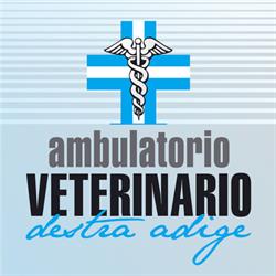 Clinica Veterinaria Destra Adige, Villa Lagarina orari di apertura