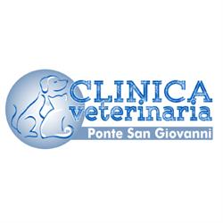 Clinica Veterinaria Ponte San Giovanni di Limongi Giuseppe e Mazzuti Anna, Perugia orari di apertura