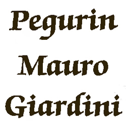 Giardiniere Pegurin Mauro, Carnago orari di apertura