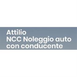 Autonoleggio con conducente NCC Multiservizi, Piacenza orari di apertura