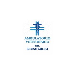Milesi Dr. Bruno Veterinario, Calolziocorte orari di apertura
