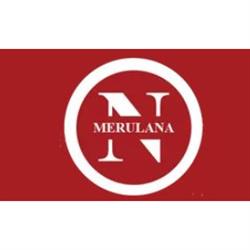 Numismatica Merulana, Roma orari di apertura