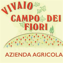Vivaio Campo dei Fiori, Dusino San Michele orari di apertura
