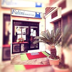 Agenzia Immobiliare Falini, Grosseto orari di apertura