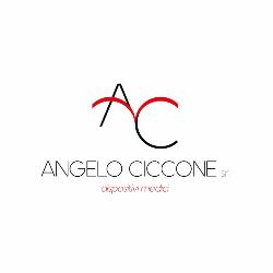 Angelo Ciccone S.r.l., Moncalieri orari di apertura