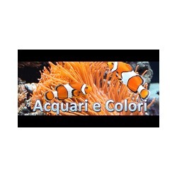 Acquari e Colori Sas, Castiglione Olona orari di apertura