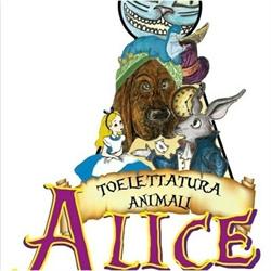 Toelettatura di Alice, Rovereto orari di apertura