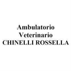 Ambulatorio Veterinario Chinelli, Trieste orari di apertura