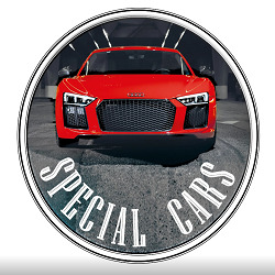 SPECIAL CARS SRL Vendita Autovetture Plurimarche, Formello orari di apertura