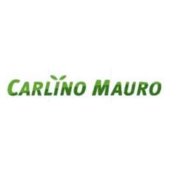 Carlino Mauro Macchine da Giardinaggio, Cigliano orari di apertura