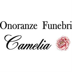 Onoranze Funebri Camelia di Albertini Nicolò & Nedrotti Claudio, Villanuova sul Clisi orari di apertura