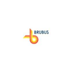 Brubus Servizi Turistici - Autonoleggio, Firenze orari di apertura