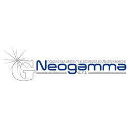 Neogamma, Rivoli orari di apertura