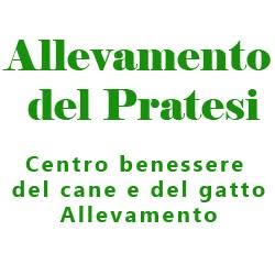 Allevamento del Pratesi, Firenze orari di apertura