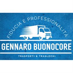 Buonocore Gennaro Trasporti & Traslochi, Napoli orari di apertura