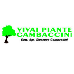 Vivai Piante Gambaccini, Senigallia orari di apertura