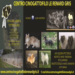 Centro Cinogattofilo Le Renard Gris, Greggio orari di apertura