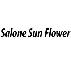 Salone Sun Flower, Levico Terme orari di apertura
