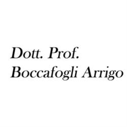 Boccafogli Dott. Prof. Arrigo Allergologo, Ferrara orari di apertura