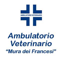 Ambulatorio Veterinario Mura dei Francesi, Ciampino orari di apertura