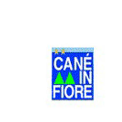 Cane' in Fiore, Baselga di Pinè orari di apertura