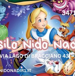 Asilo Nido Nadir, Fonte Nuova orari di apertura