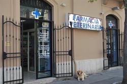 Farmacia Veterinaria, Avezzano orari di apertura